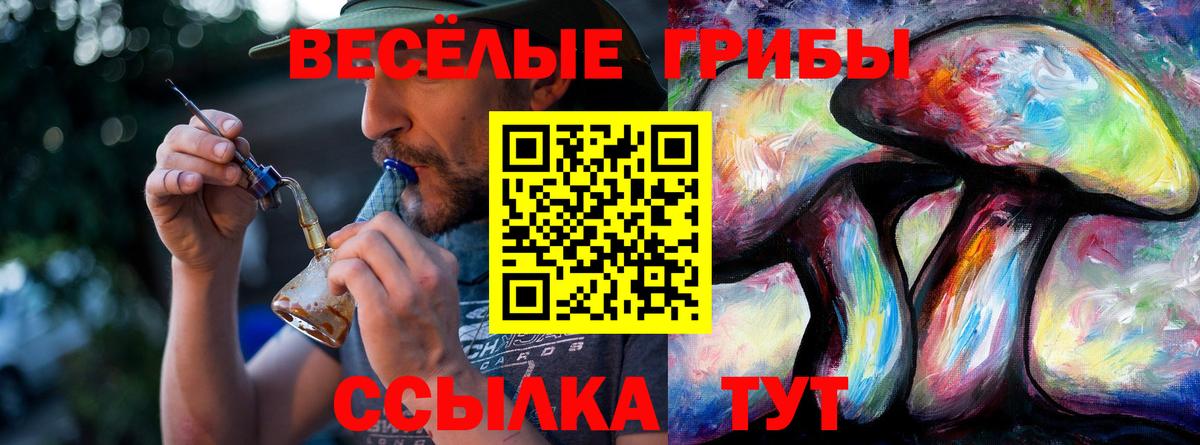 Галлюциногенные грибы Psilocybine cubensis Городец